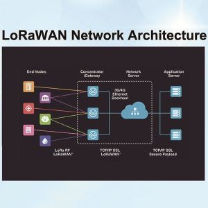 LoRaWAN Network Architecture